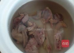 炖鸽子汤的做法
