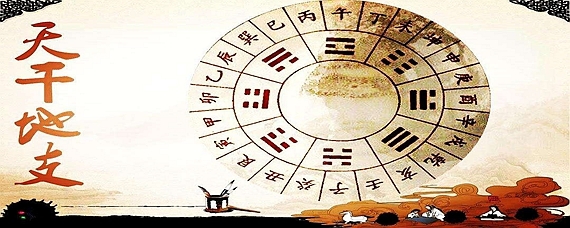 地支五行属什么