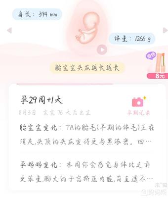 孕29周是几个月