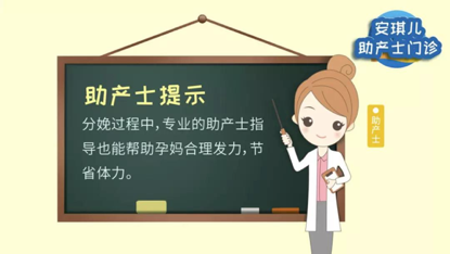 胎儿附属物包括
