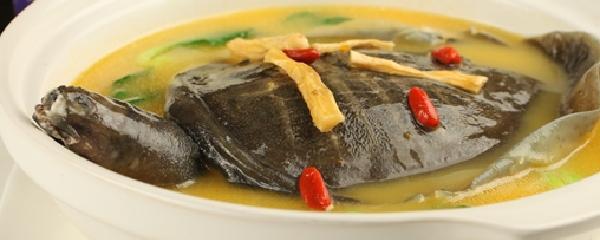 咳嗽能吃甲鱼吗