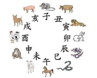 辰指什么生肖