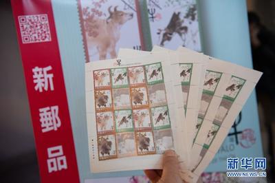 春夏秋冬打一生肖