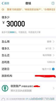 借款30000