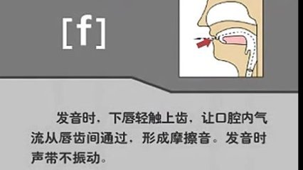funl音标