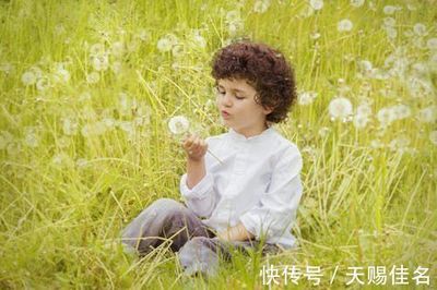 带贤的男孩名字
