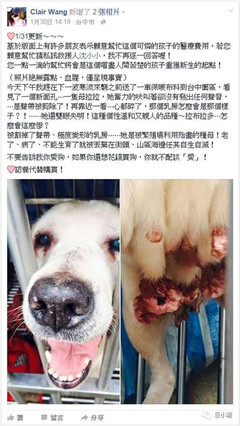 宠物狗割声带危险吗