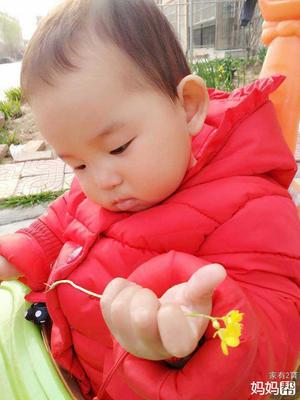 10个月宝宝不吃奶粉怎么办