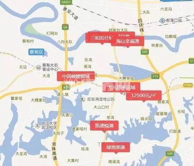 武汉市蔡甸区最新消息
