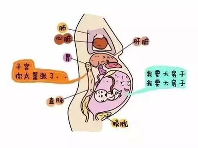 怀孕肚脐会有变化吗