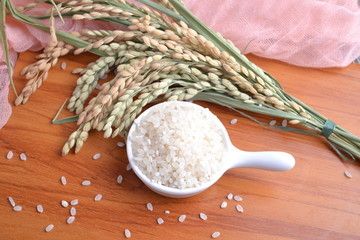 大米是粗粮吗