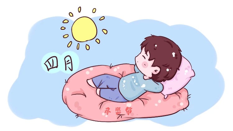 孕妇几个月需要人照顾