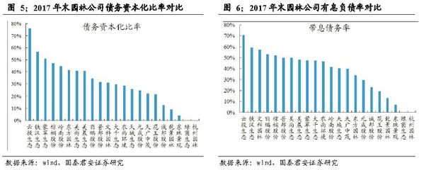 长期债务资本