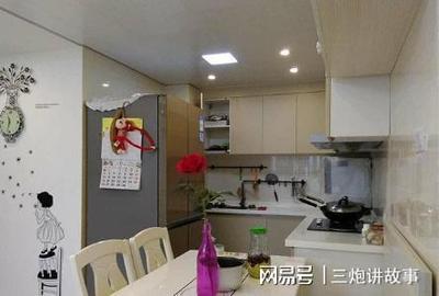 厨房冰箱摆放什么花好