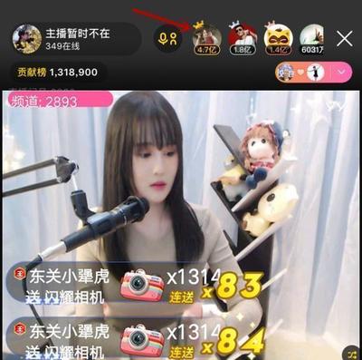 直播网名