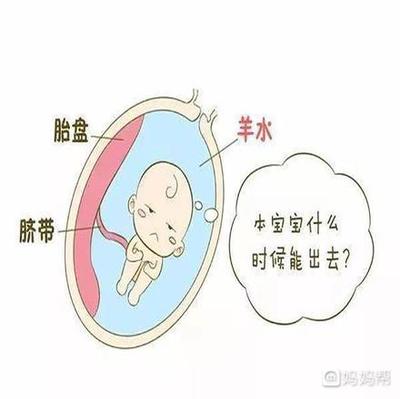 36周胎儿真实图片