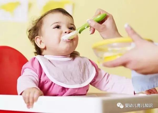 9个月的宝宝一天吃几顿辅食