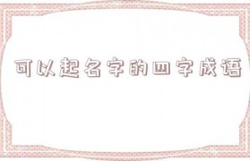 四字成语起名字