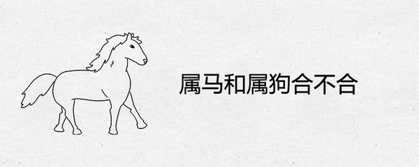 属马的和属狗的合不合