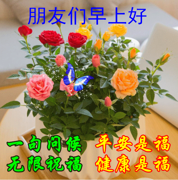 你的汗水为你浇灌鲜花是什么歌