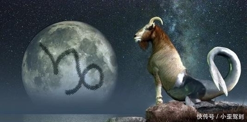 317什么星座