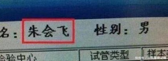 戴怎么取名字