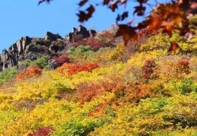 茅荆坝红叶 攻略
