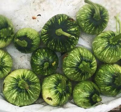排骨青南瓜的做法大全家常