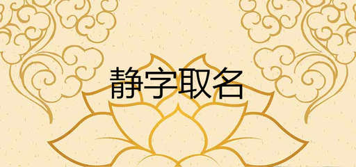 鹭字取名寓意