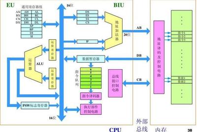 寄存器存储什么不同