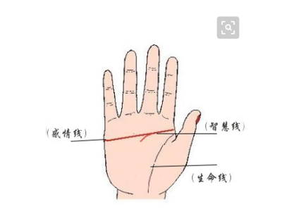 右手断掌女人命运好吗