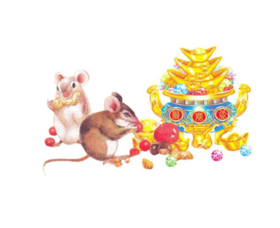 属鼠的财运