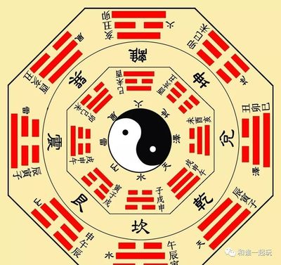 五行是什么意思啊