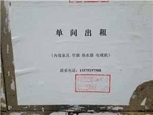 临澧租房信息