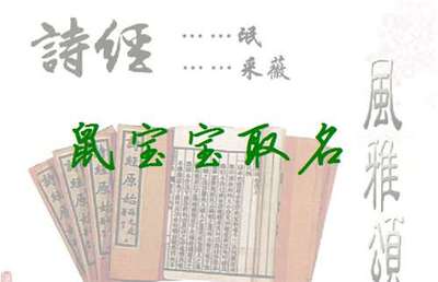 潘的名字女孩