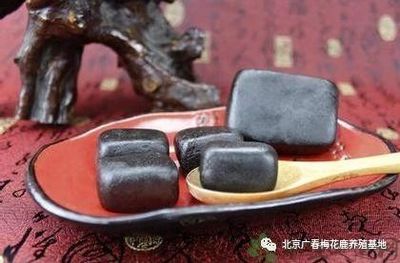 鹿鞭膏的功效与作用吃法