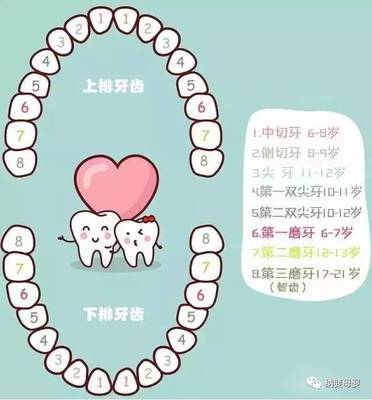 宝宝换牙图片