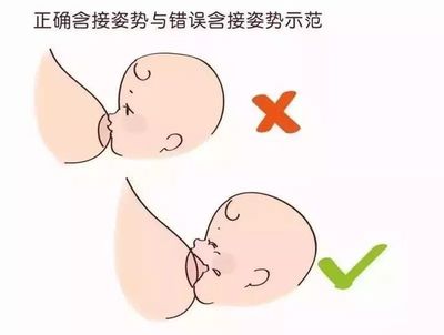 宝宝在肚子里的姿势