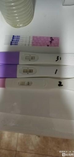 怀孕多长时间早孕试纸能测出来