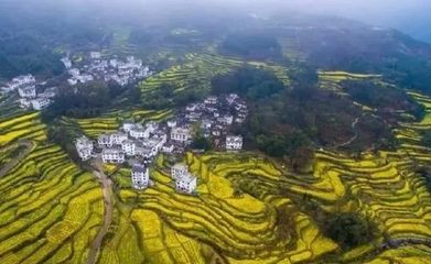 郑州最贵的房子