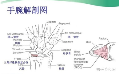 容易不耐烦的人性格