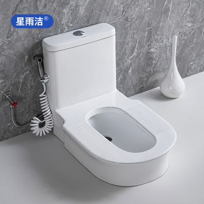 蹲坑马桶两用