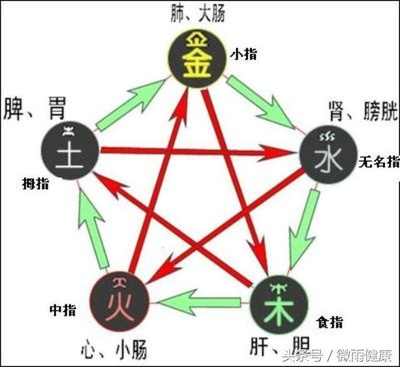 五行属木代表健康的字