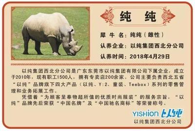 动物公司名字大全