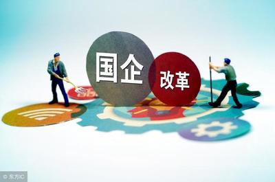 国企法人