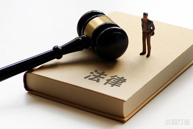 法律金融专业