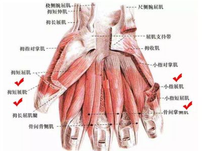 手腕内侧疼是怎么回事