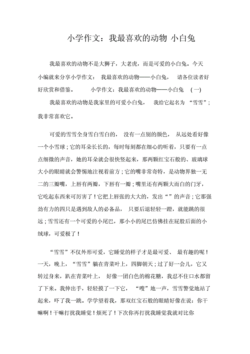 怎么写小白兔的作文四年级作文