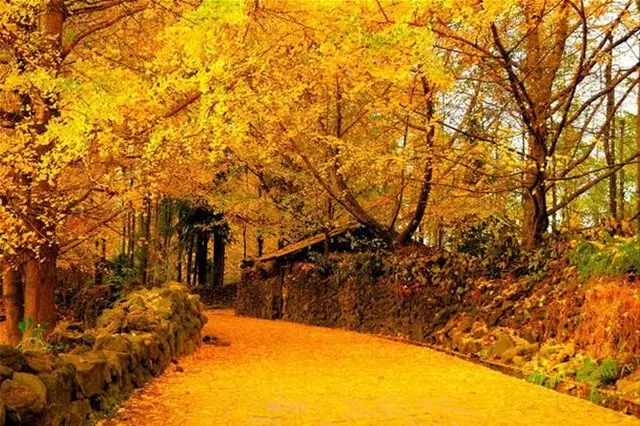 腾冲旅游介绍