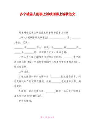 刑事上诉状